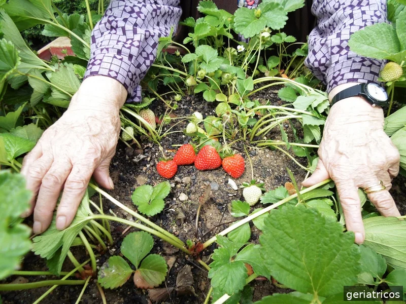 Serveis Lleida Global Grup S.L.