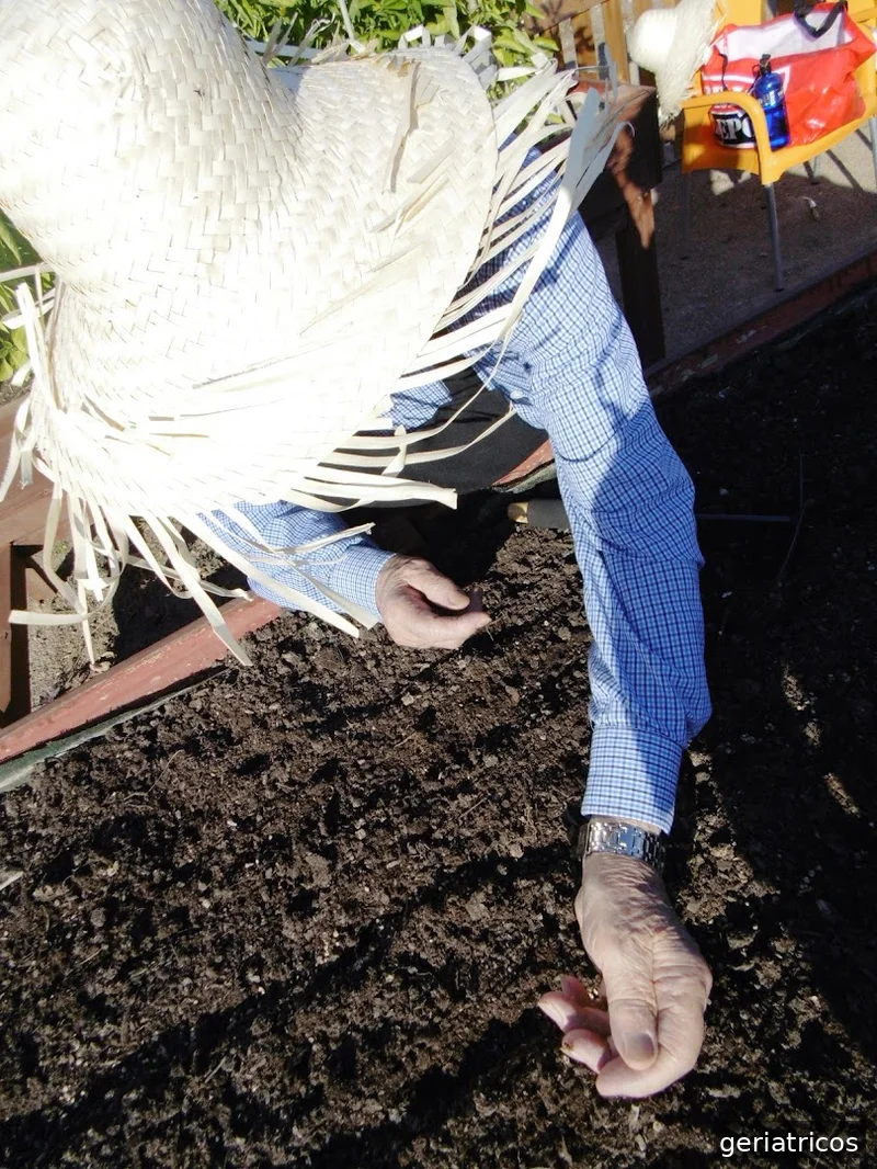 Serveis Lleida Global Grup S.L.