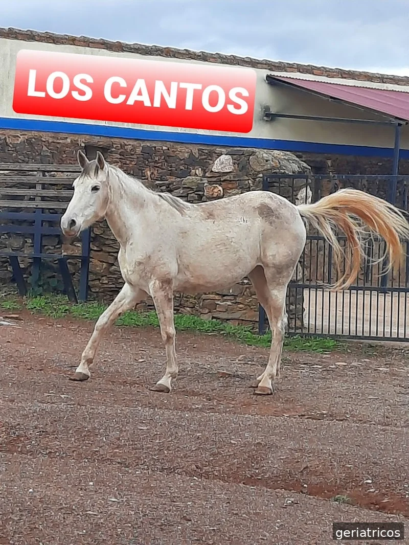 Centro de Mayores de San Roque