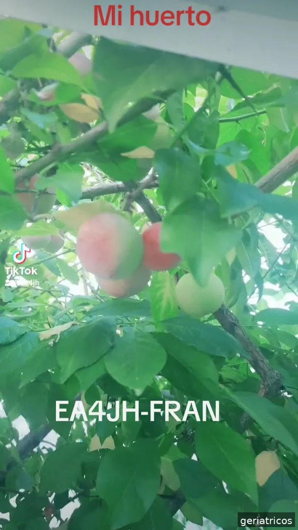 Centro de Mayores de San Roque