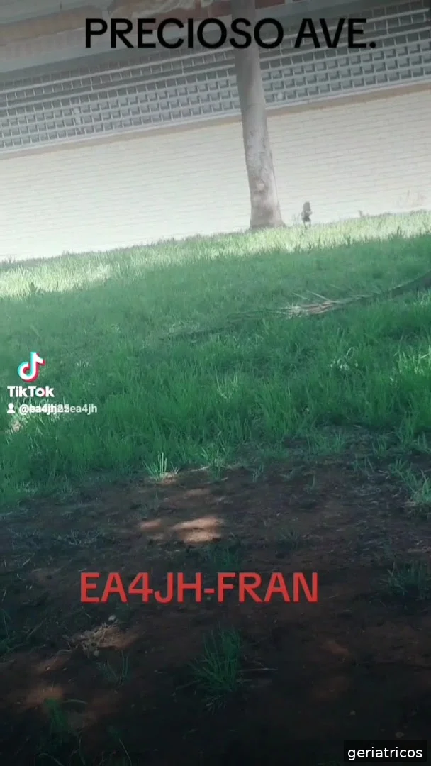 Centro de Mayores de San Roque