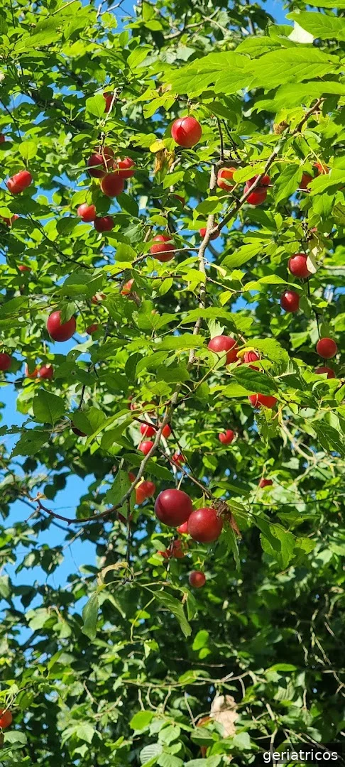 Residència Les Vetes