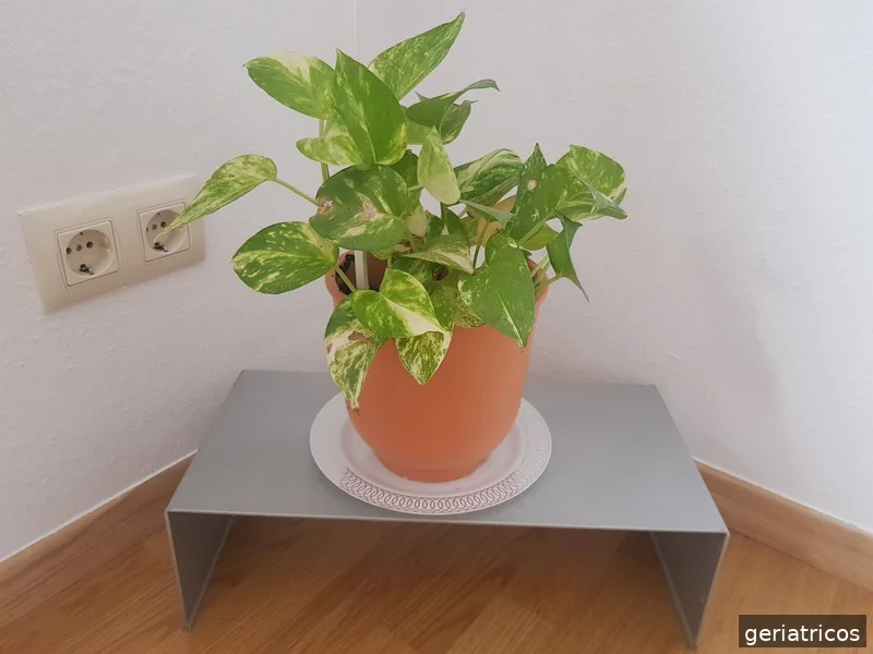 Fundación Sagrada Familia Y Santa Isabel