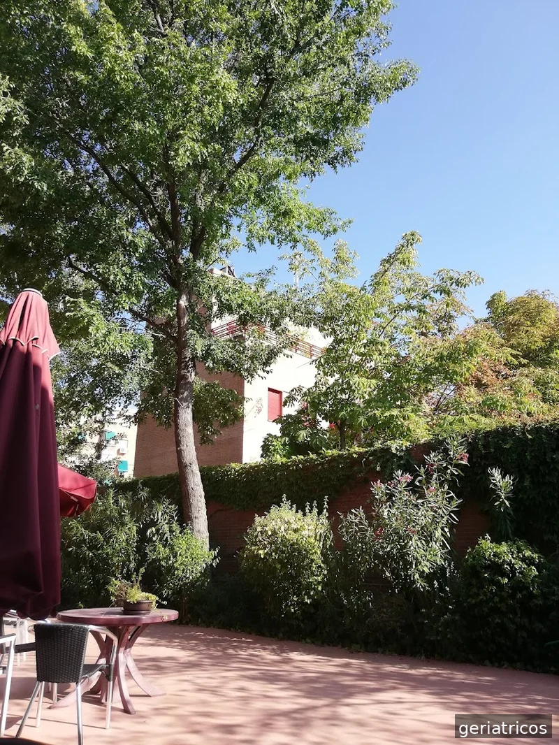 Fundación Sagrada Familia Y Santa Isabel