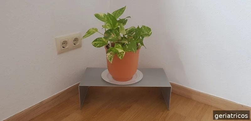 Fundación Sagrada Familia Y Santa Isabel