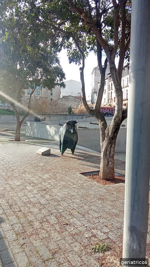 RESIDENCIA SOMONTANO