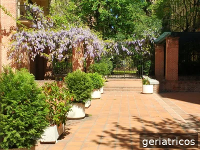 Centro De Día Casa De Las Flores