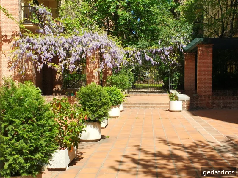 Centro De Día Casa De Las Flores