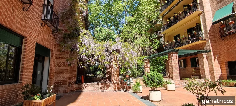 Centro De Día Casa De Las Flores