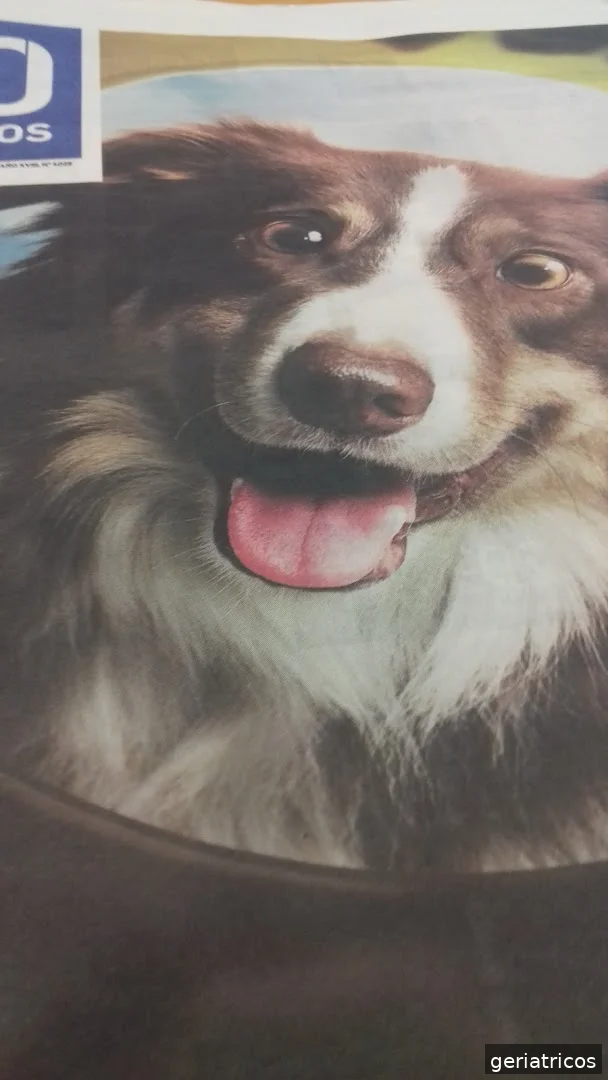 Centro De Día Casa De Las Flores