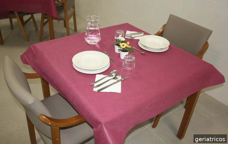 Centro de Dia Camp de Túria