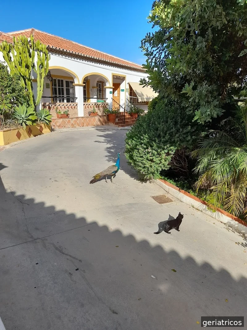 Residencia Juan González