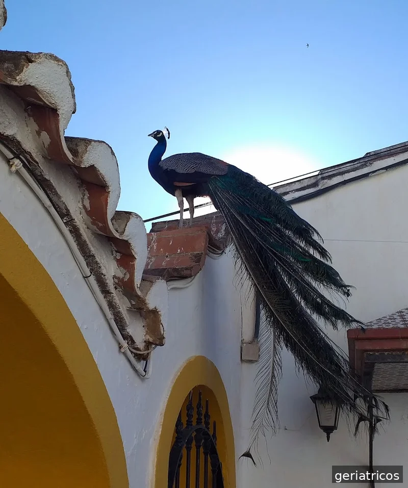 Residencia Juan González