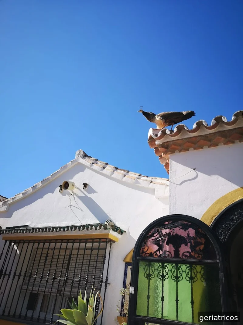 Residencia Juan González