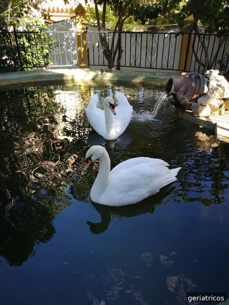 Residencia Juan González