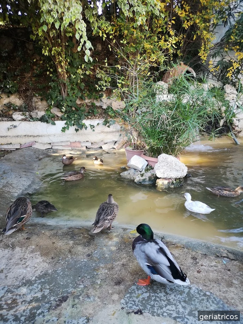 Residencia Juan González