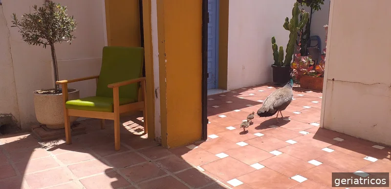 Residencia Juan González