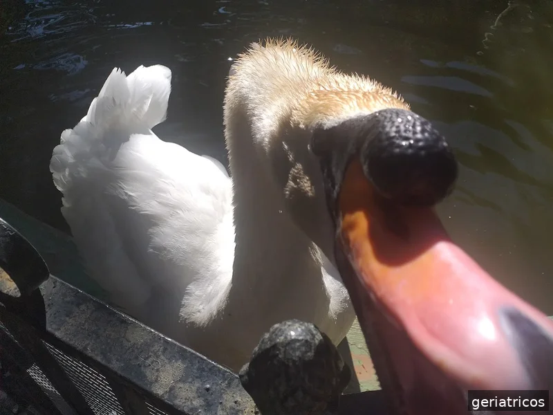 Residencia Juan González