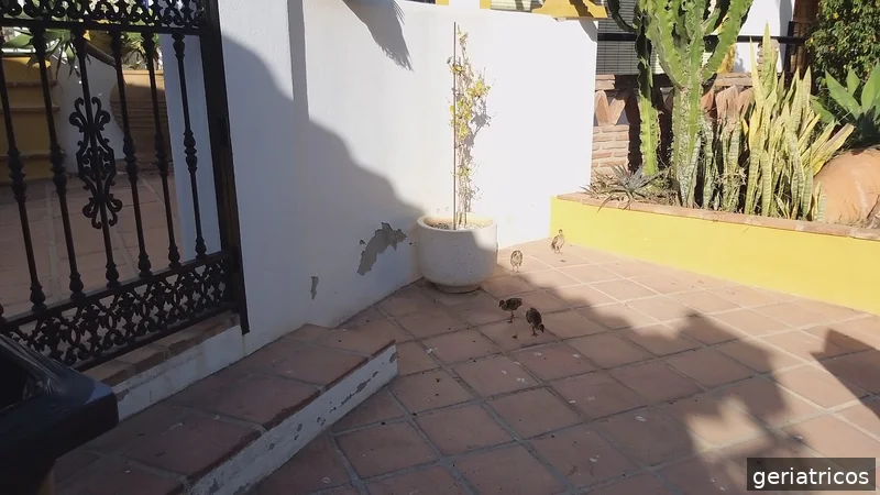 Residencia Juan González