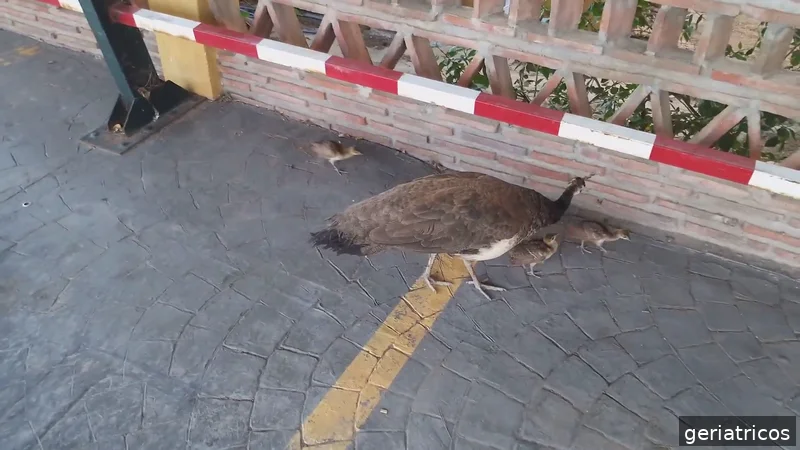 Residencia Juan González