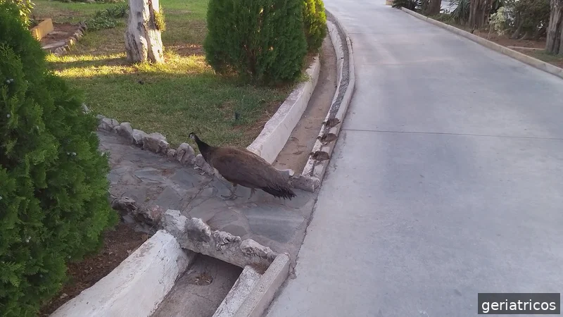 Residencia Juan González