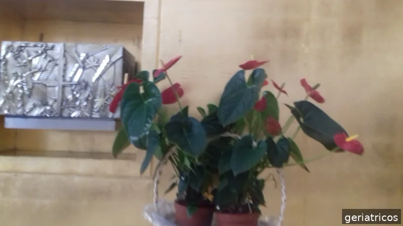 Residencia Santa Marta