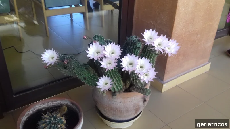 Residencia Santa Marta