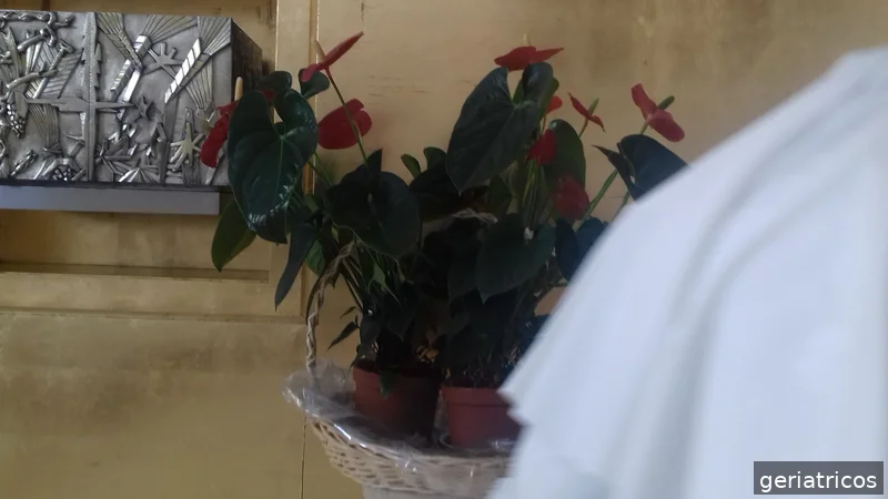 Residencia Santa Marta