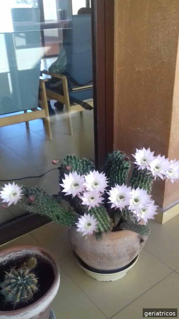 Residencia Santa Marta