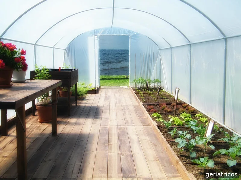 Colisée Gijón | Residencia y centro de día en Plaza Real, Gijón