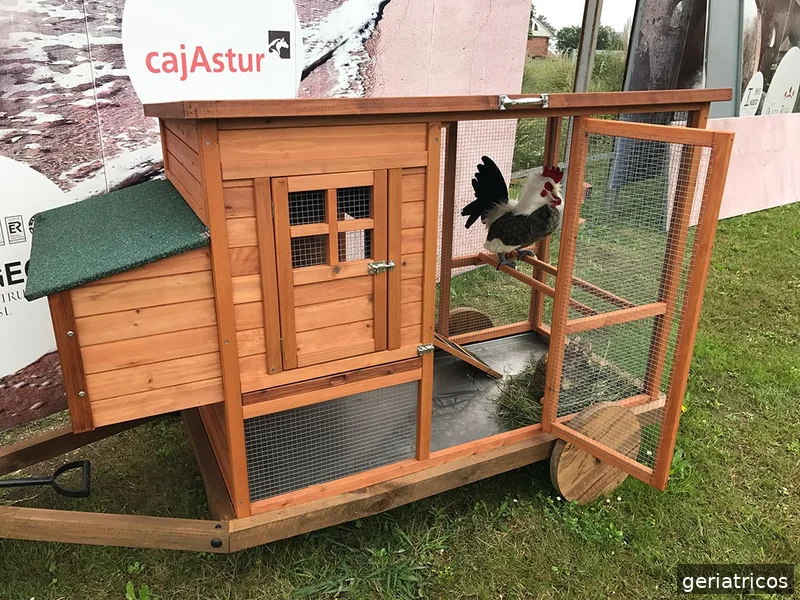 Colisée Gijón | Residencia y centro de día en Plaza Real, Gijón