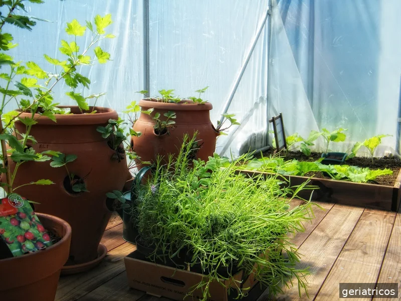 Colisée Gijón | Residencia y centro de día en Plaza Real, Gijón