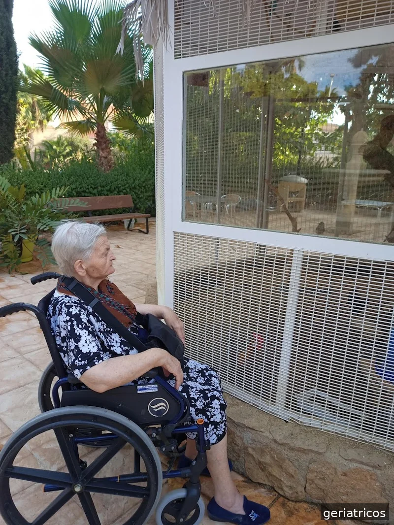 Mensajeros de la Paz Murcia